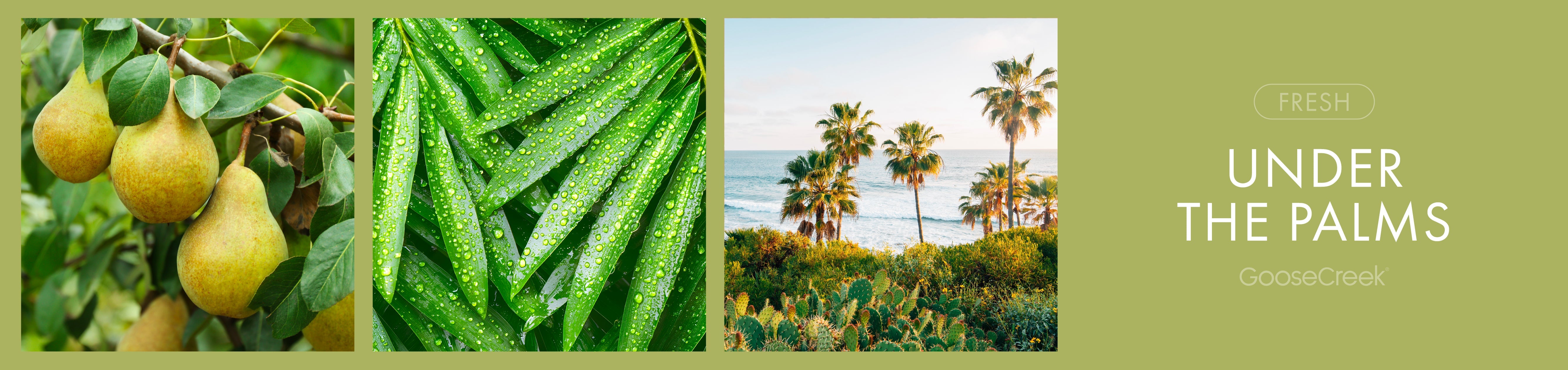 Under the Palms Fragrance-Goose Creek Candle