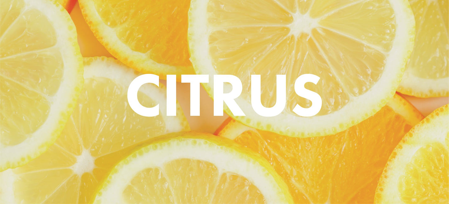 Citrus-Goose Creek Candle