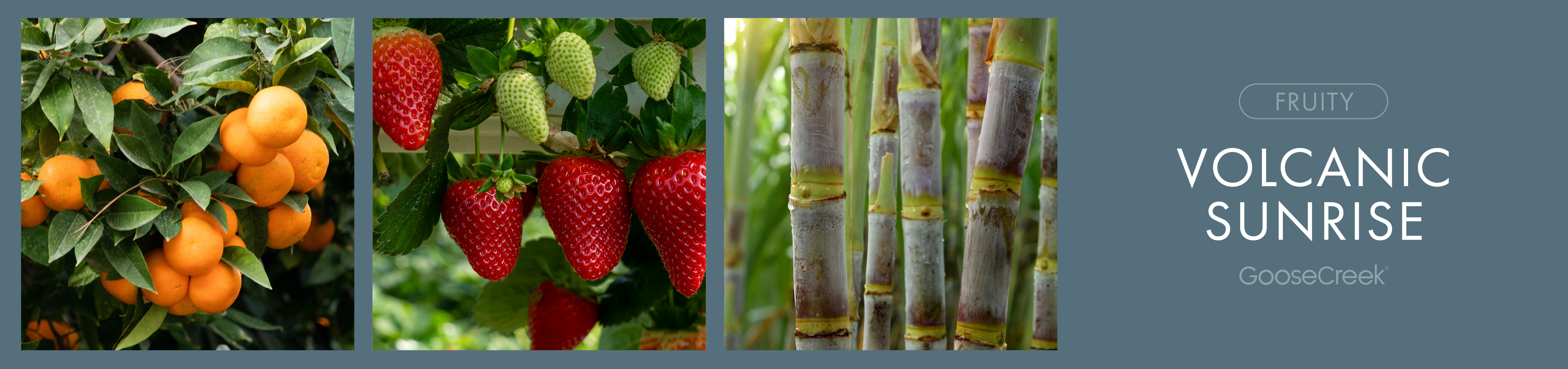 Volcanic Sunrise Fragrance-Goose Creek Candle