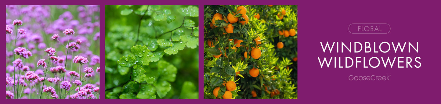 Windblown Wildflowers Fragrance-Goose Creek Candle