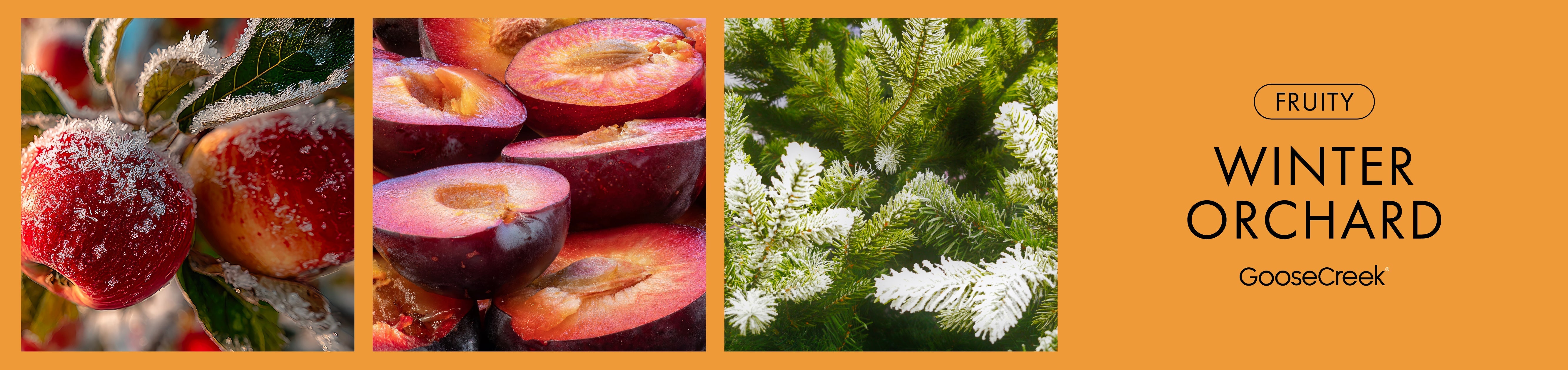 Winter Orchard Fragrance-Goose Creek Candle