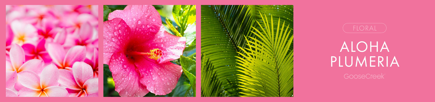 Aloha Plumeria Fragrance-Goose Creek Candle
