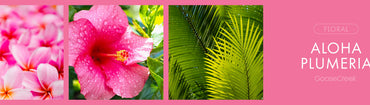 Aloha Plumeria Fragrance-Goose Creek Candle