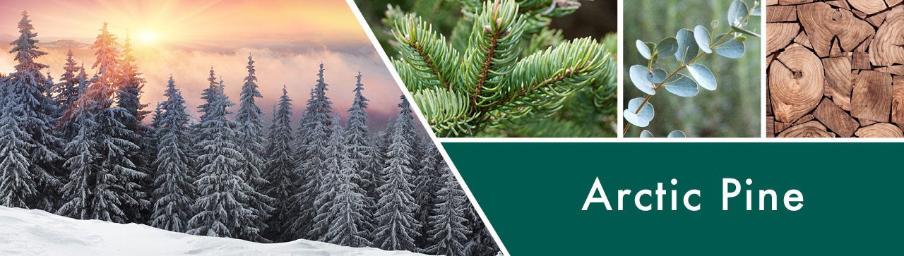Arctic Pine Fragrance-Goose Creek Candle
