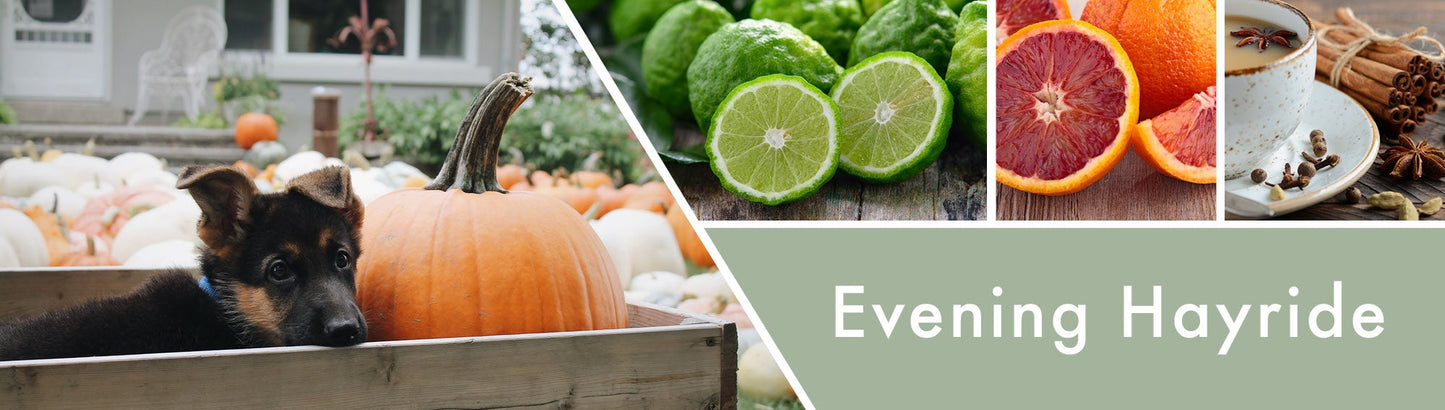 Evening Hayride Fragrance-Goose Creek Candle