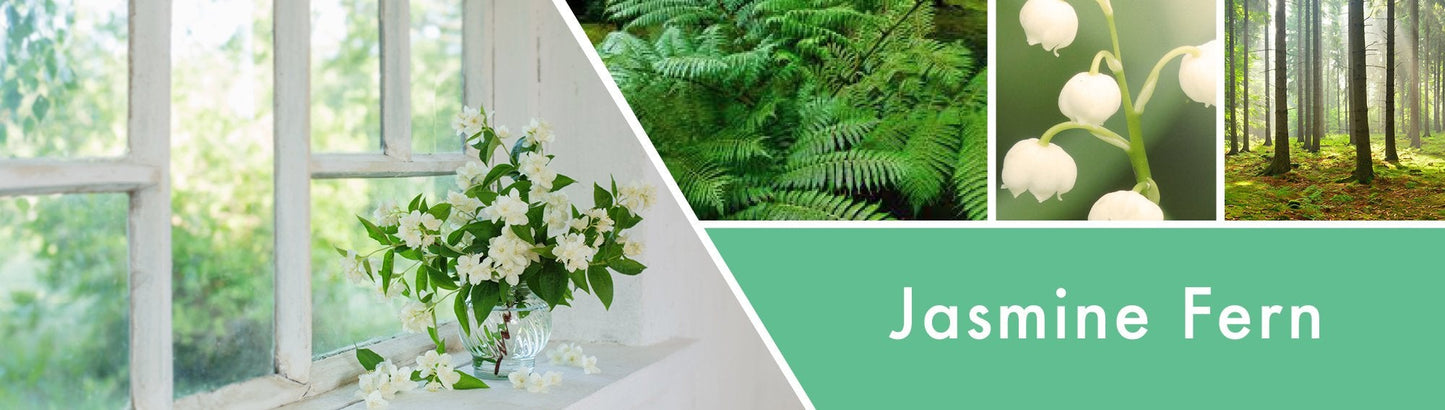 Jasmine Fern Fragrance-Goose Creek Candle