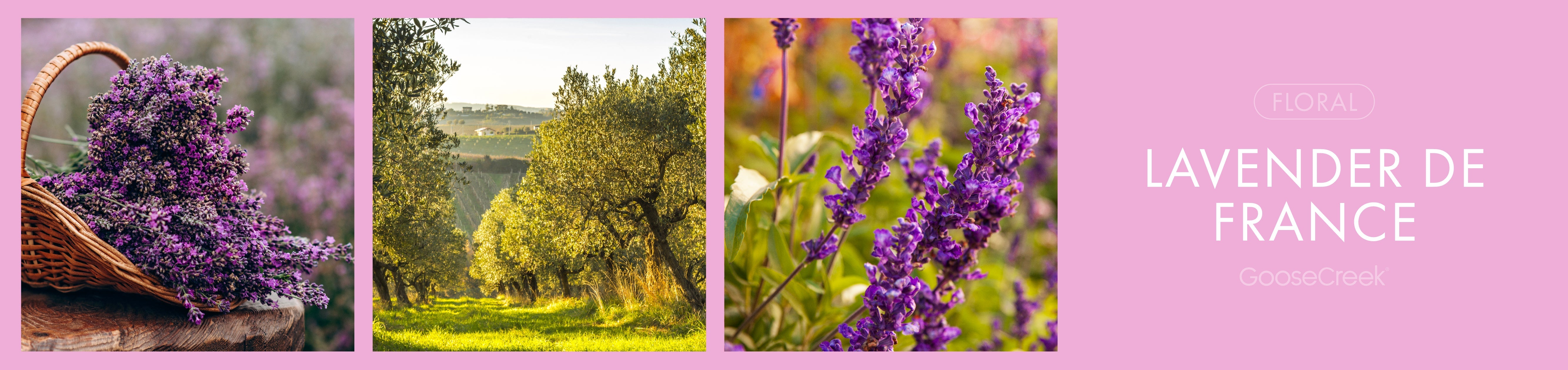 Lavender de France Fragrance-Goose Creek Candle