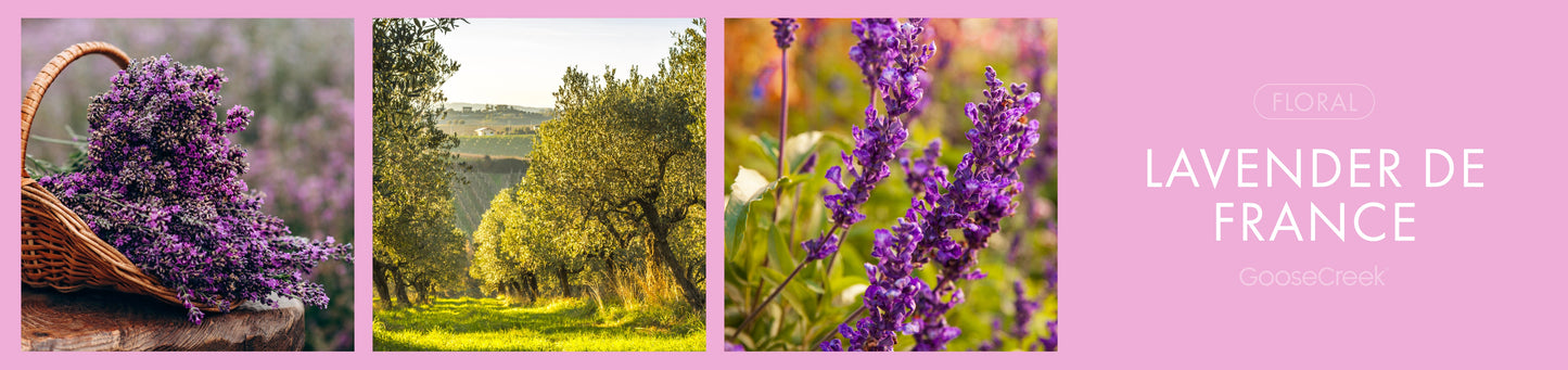 Lavender de France Fragrance-Goose Creek Candle
