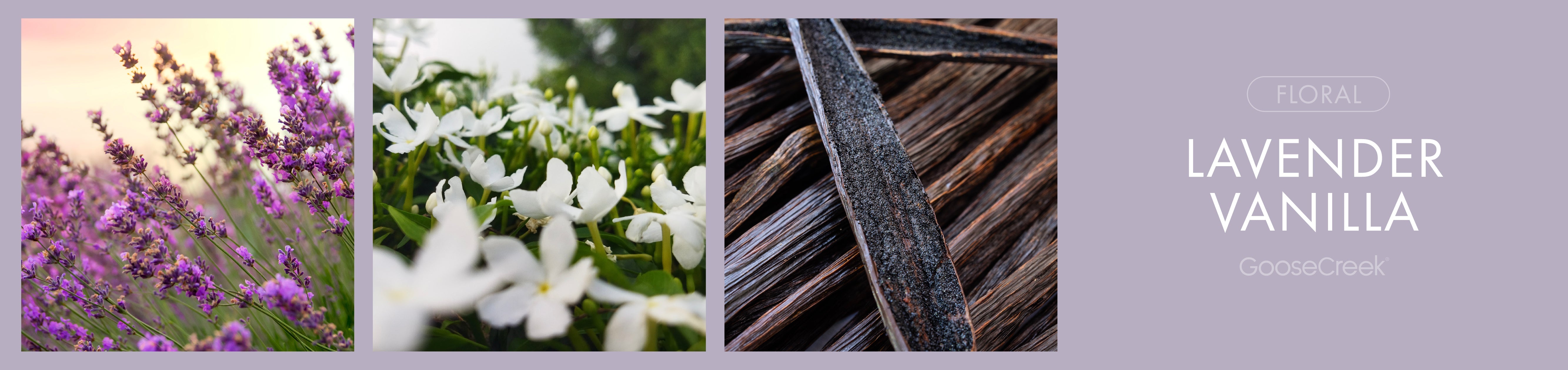 Lavender Vanilla Fragrance-Goose Creek Candle