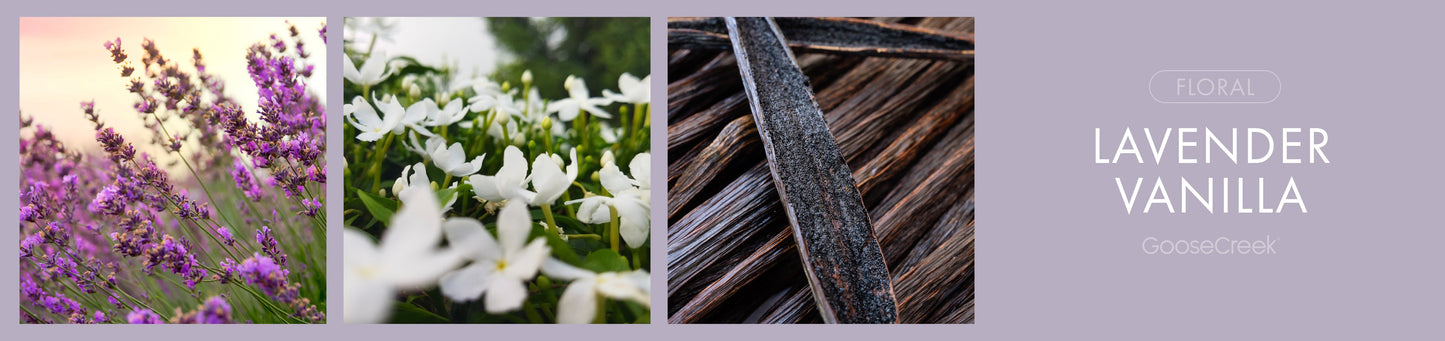 Lavender Vanilla Fragrance-Goose Creek Candle