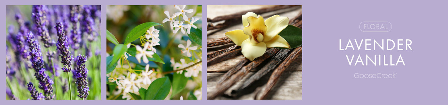 Lavender Vanilla Fragrance-Goose Creek Candle