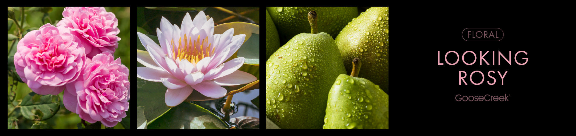 Looking Rosy Fragrance-Goose Creek Candle