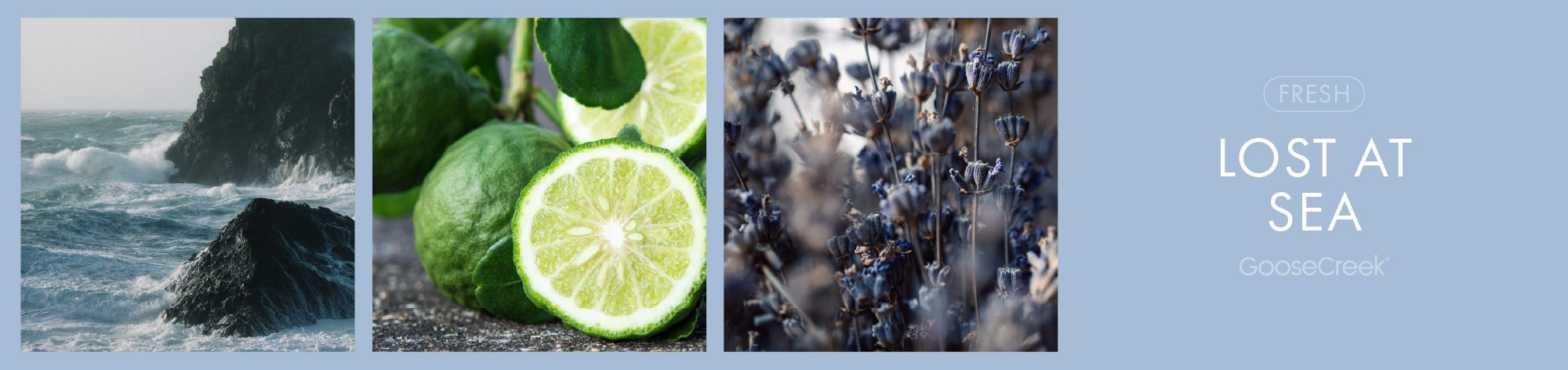 Lost at Sea Fragrance-Goose Creek Candle