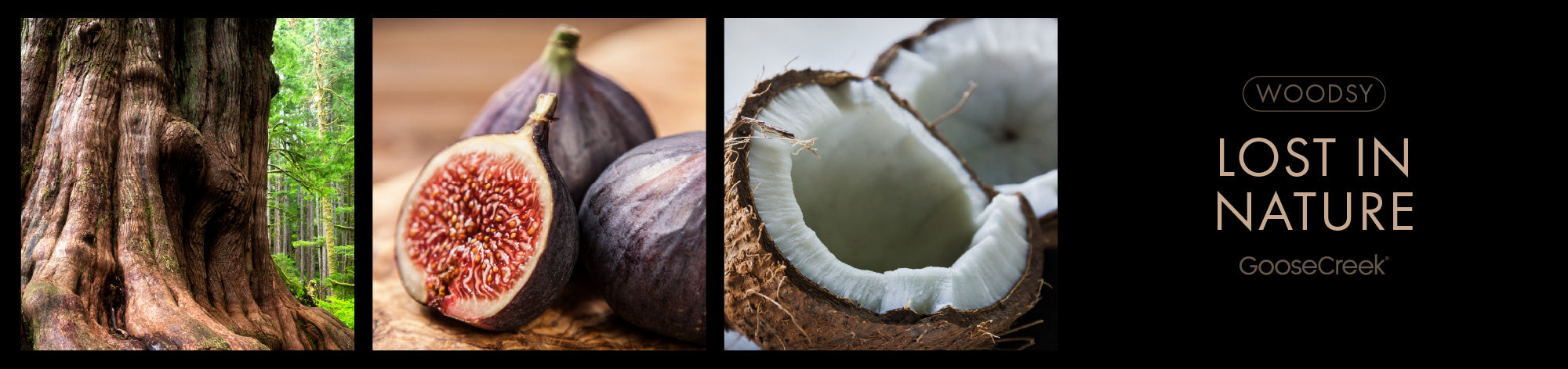 Lost In Nature Fragrance-Goose Creek Candle