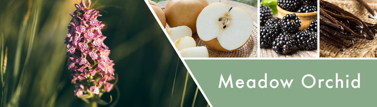 Meadow Orchid Fragrance-Goose Creek Candle