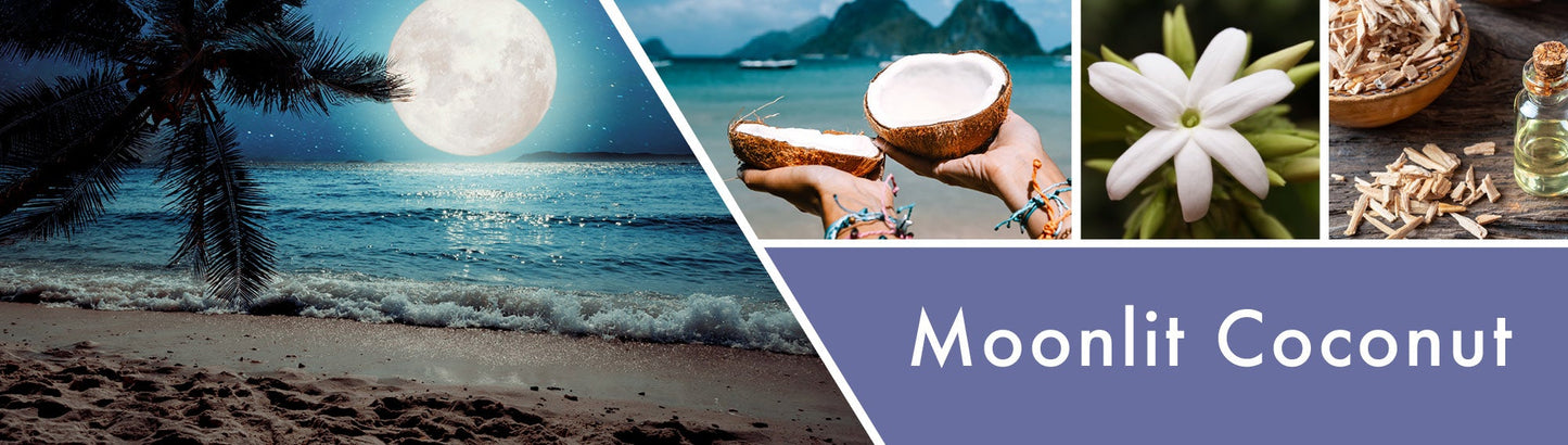 Moonlit Coconut Fragrance-Goose Creek Candle