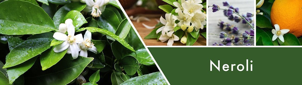 Neroli Fragrance-Goose Creek Candle