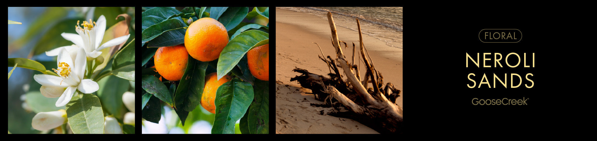 Neroli Sands Fragrance-Goose Creek Candle