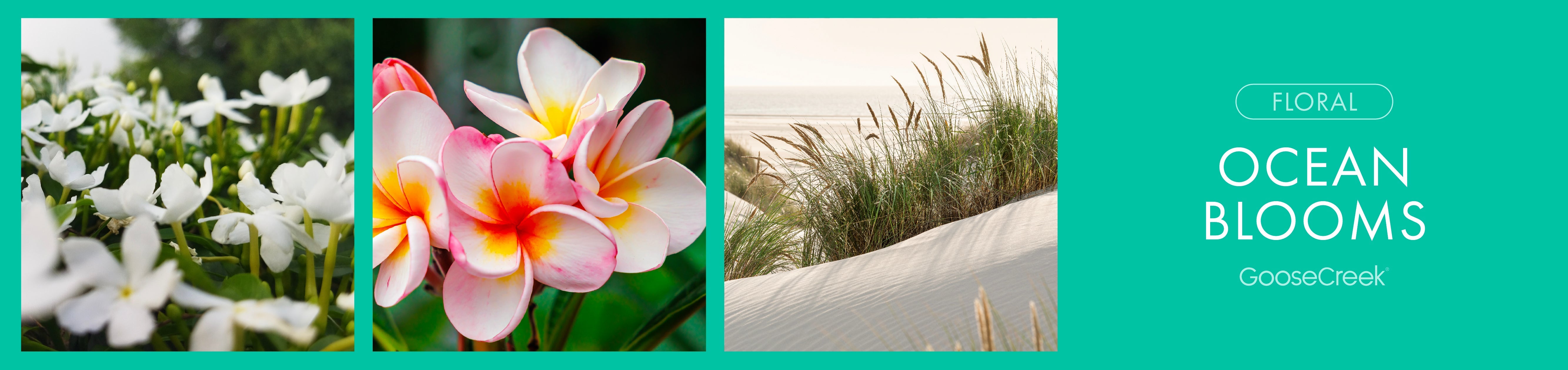 Ocean Blooms	Fragrance-Goose Creek Candle