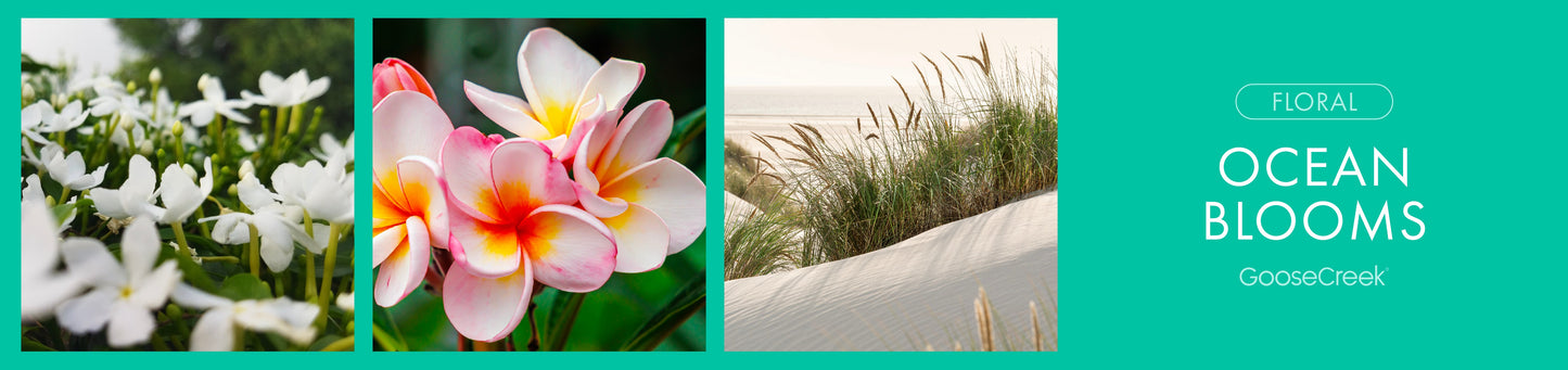 Ocean Blooms	Fragrance-Goose Creek Candle