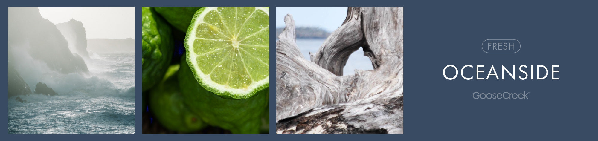 Oceanside Fragrance-Goose Creek Candle