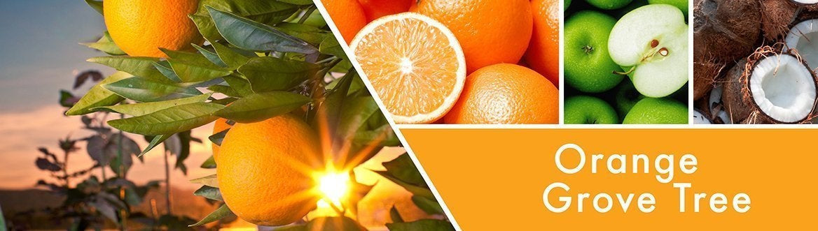 Orange Grove Tree Fragrance-Goose Creek Candle