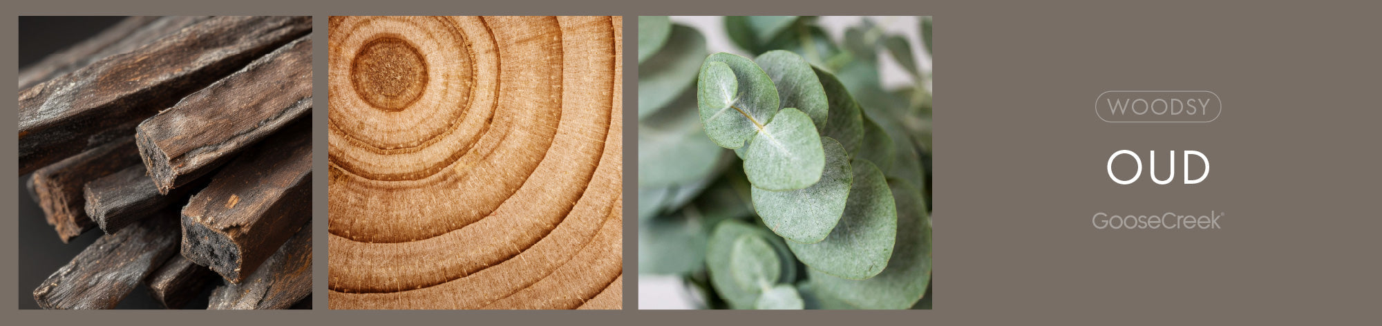 Oud Fragrance-Goose Creek Candle