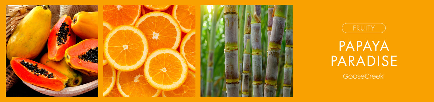 Papaya Paradise Fragrance-Goose Creek Candle