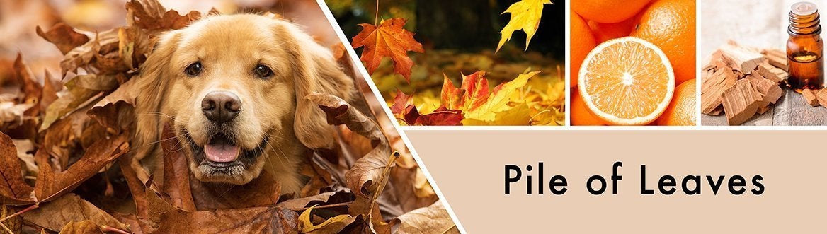 Pile of Leaves Fragrance-Goose Creek Candle