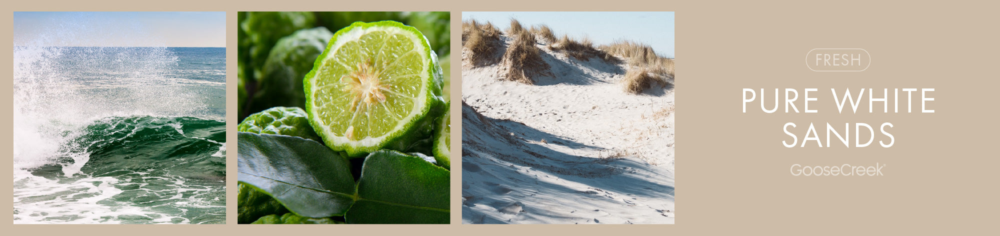 Pure White Sands Fragrance-Goose Creek Candle