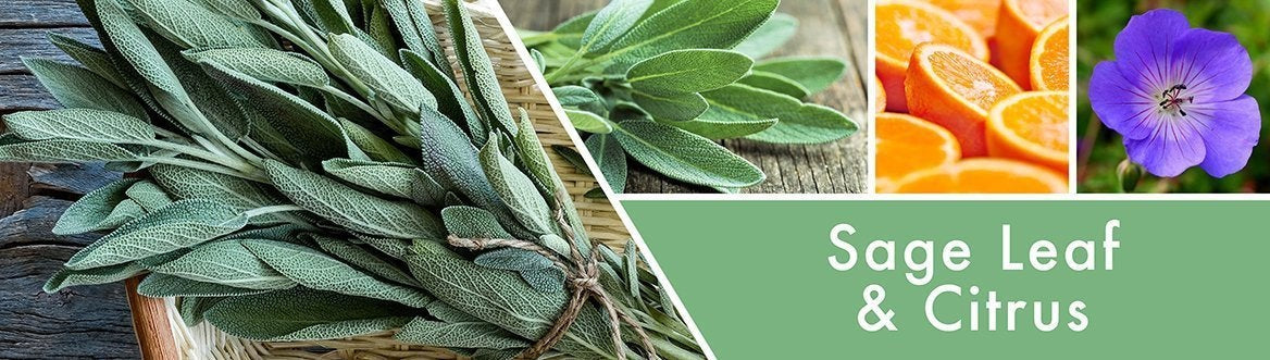 Sage Leaf & Citrus Fragrance-Goose Creek Candle