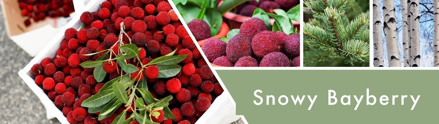 Snowy Bayberry Fragrance-Goose Creek Candle