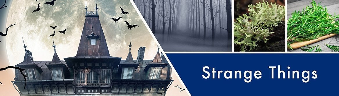 Strange Things Fragrance-Goose Creek Candle