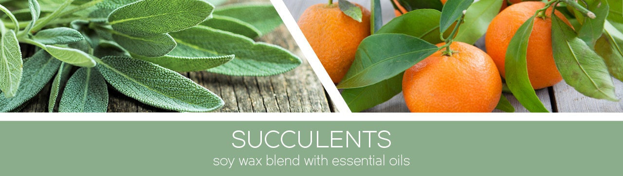 Succulents Fragrance-Goose Creek Candle