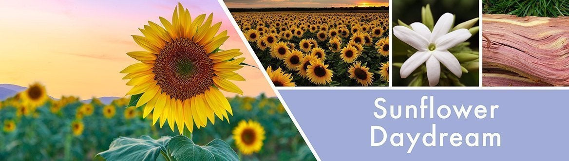 Sunflower Daydream Fragrance-Goose Creek Candle