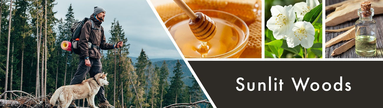 Sunlit Woods Fragrance-Goose Creek Candle