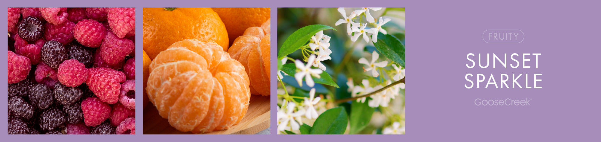 Sunset Sparkle Fragrance-Goose Creek Candle