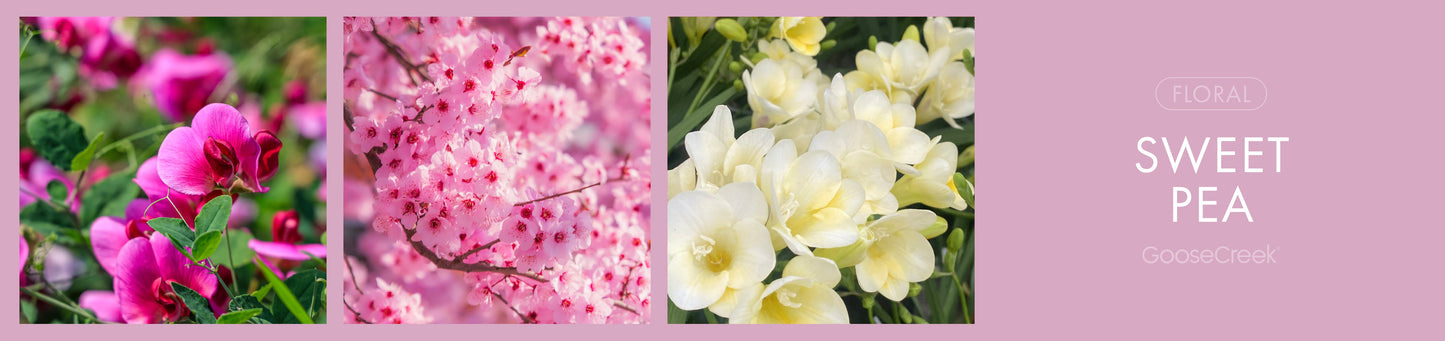 Sweet Pea Fragrance-Goose Creek Candle