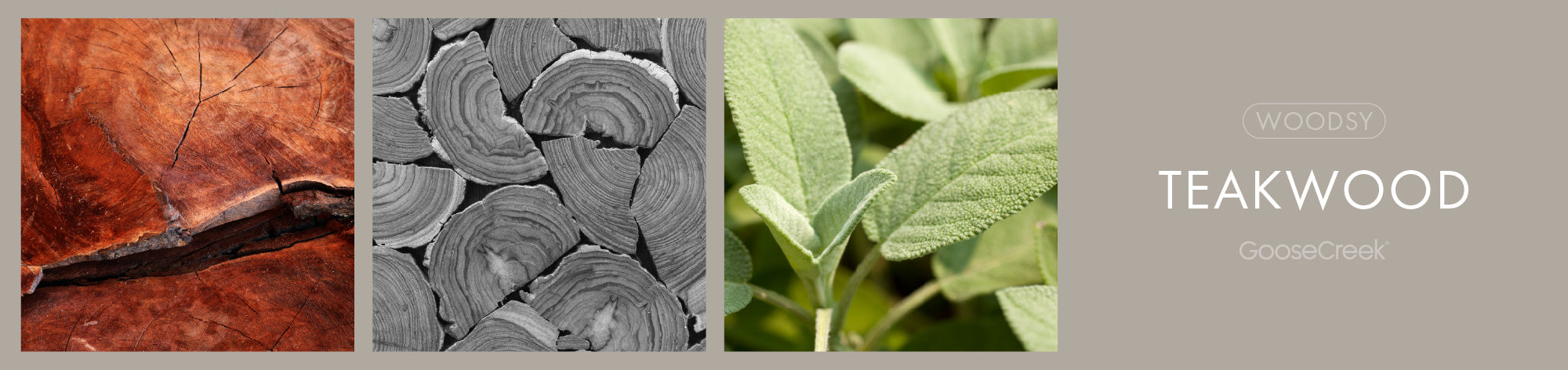 Teakwood Fragrance-Goose Creek Candle