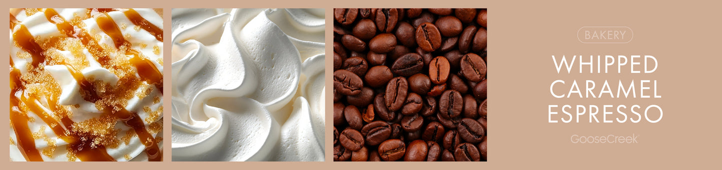 Whipped Caramel Espresso Fragrance-Goose Creek Candle