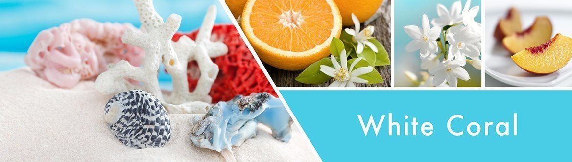 White Coral Fragrance-Goose Creek Candle