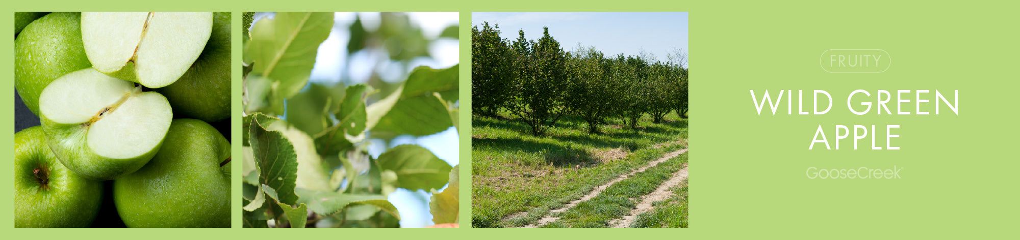 Wild Green Apple Fragrance-Goose Creek Candle