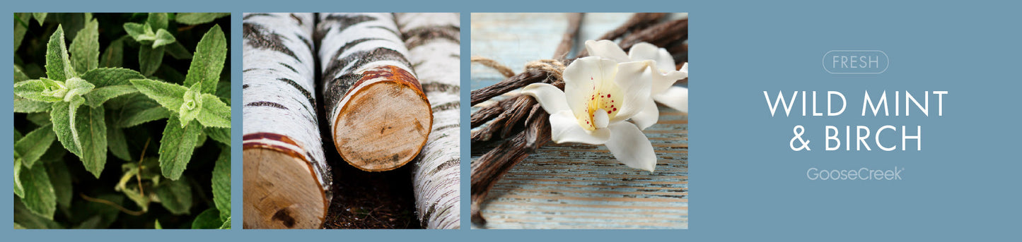 Wild Mint & Birch Fragrance-Goose Creek Candle