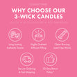 Load image into Gallery viewer, Aloha Plumeria 3-Wick Candle
