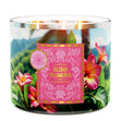 Load image into Gallery viewer, Aloha Plumeria 3-Wick Candle
