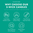 Load image into Gallery viewer, Angry Beavers Nickelodeon 3-Wick Candle
