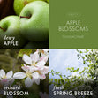 Load image into Gallery viewer, Apple Blossoms Lush Foaming Hand Soap
