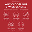 Load image into Gallery viewer, Apple Bourbon 3-Wick Candle
