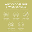 Load image into Gallery viewer, Apple Cheesecake Cupcake 3-Wick Candle
