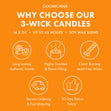 Load image into Gallery viewer, Apple Pumpkin 3-Wick Candle
